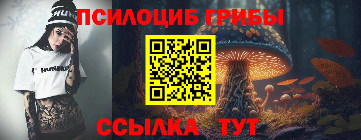 Псилоцибиновые грибы Psilocybine cubensis  Псилоцибиновые грибы MAGIC MUSHROOMS  Элиста  Вход с VPN 