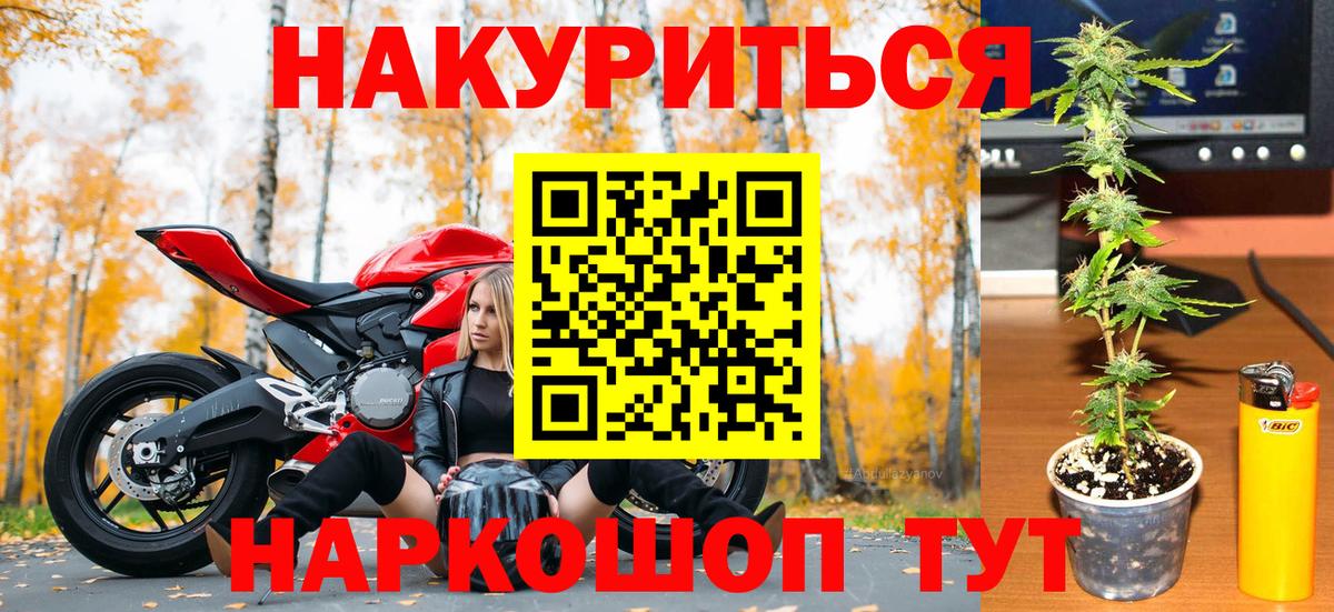 Марихуана план Элиста